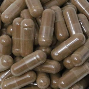 Organic Chaga Mushroom Capsules x 60 (Inonotus Obliquus)